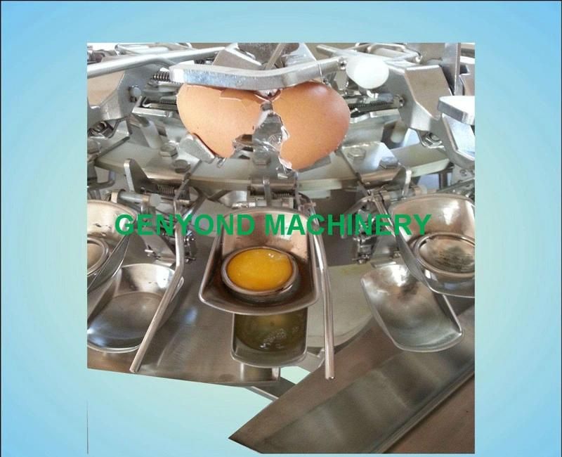 Hot Sell Fresh Egg Breaking Machine