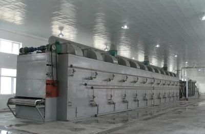 High Capacity Beetroot Drying Machine