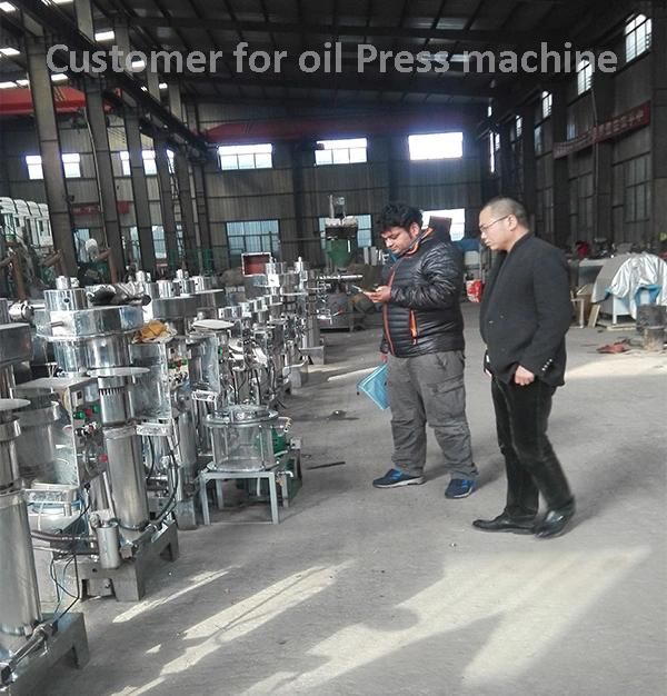 Palm Kernel Groundnut Peanut Soybean Making Machine Oil Expeller