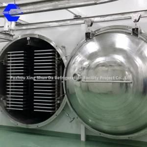 10m&sup2; Freeze Drying Meat Processing Machines for Fruit, Vegetable, Meat, Coffee