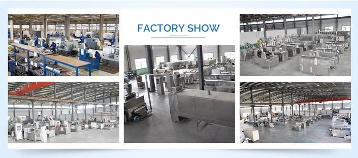 Full Automatic Italian Pasta Product Line Macaroni Making Machine Industrial Macaroni Processing Line