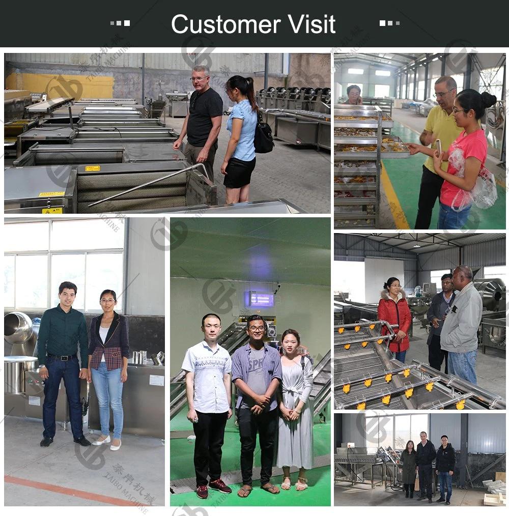 Commercial Eggplant Lemon Washing Waxing Size Grading Line for Processing