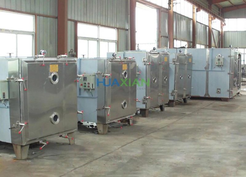 High Quality Lab Equipment, Vacuum Freeze Dryer, Vegetables Machine Lyophilizer