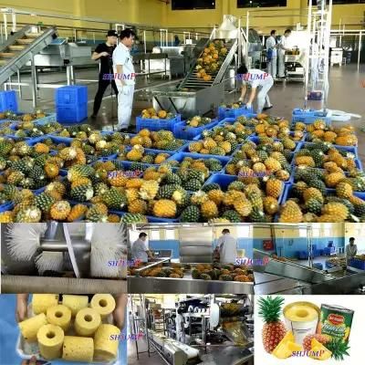 Pineapple Juice Processing Production Project Supplier