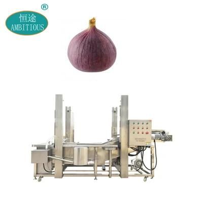 Fruit Washing Cleaning Machine Figs Washing Machine Fig Washer