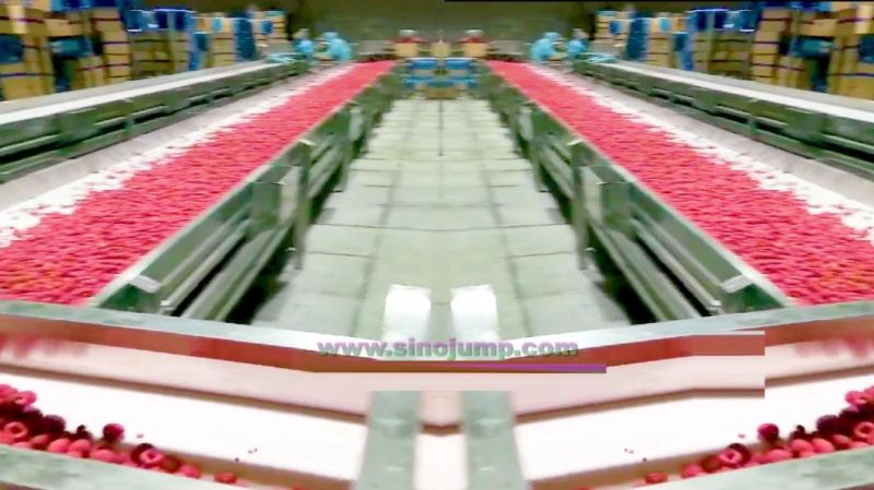 a Raspberry Puree/Paste Processing Turnkey Solution