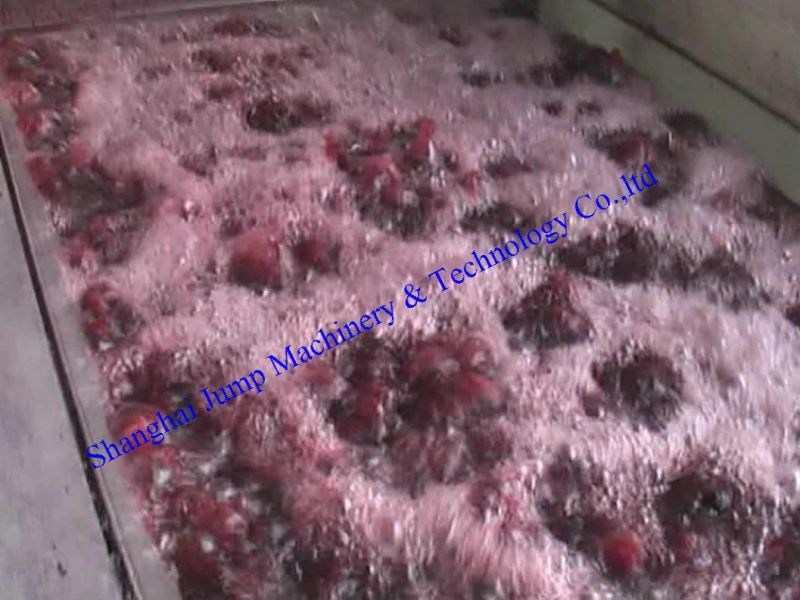 5ton Per Hour Capacity Fruit Pulp Production Line Machine