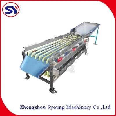 Roma Tomato Size Sorting Machine Electric Fruit Selecting Machine