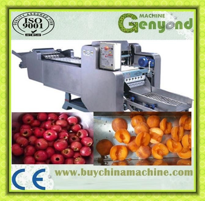 Hawthorn Pitter Olive Pitter Fruit Pitter Machine