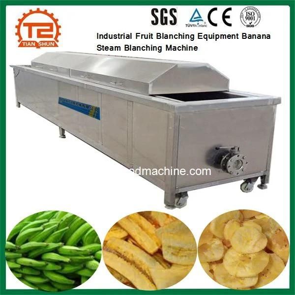 Industrial Fruit Blanching Equipment Banana Blanching Machine