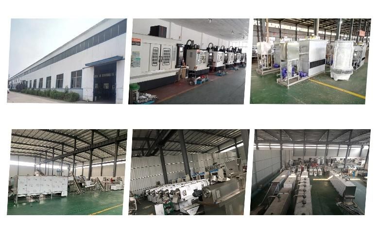 Big Capacity Ce Certificate Fish Feed Pellet Extruder