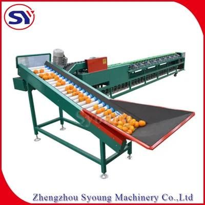 Electronic Weighing Scale Fruit Apple Mango Weight Sorter/Grader Machine