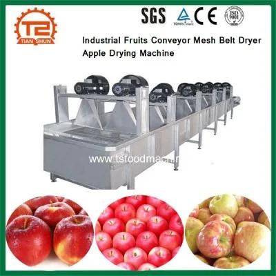 Industrial Fruits Conveyor Mesh Belt Dryer Apple Drying Machine