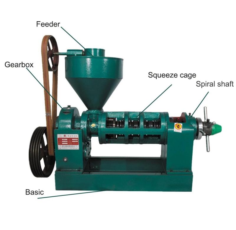 Small Tung Seed Oil Expeller for Oil Making Line