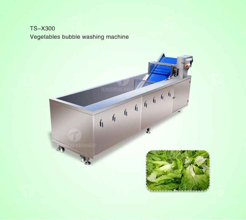 Industrial Automatic Food Processor Fruit Vegetable Ozone Bubble Washer Ultrasonic Ginger Cassava Washing Machine Ts-X300