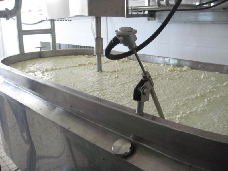 Ricotta Cheese Making Machine Mozzarella Cooker Stretcher