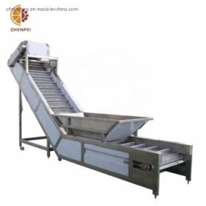 Food &amp; Beverage Application New Condition Mango Juice Production Line Elevator