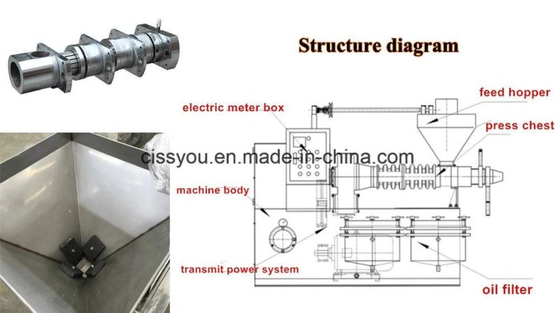 Automatic Coconut Sunflower Peanut Palm Screw Oil Press Machine