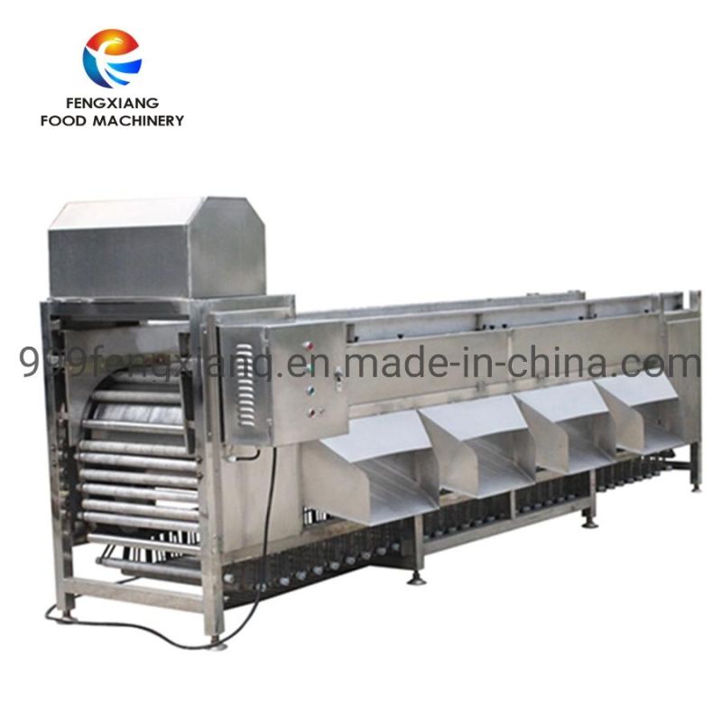 Spiral Olive Different Size Grading Machine, Cherry Tomato Screw Sorter