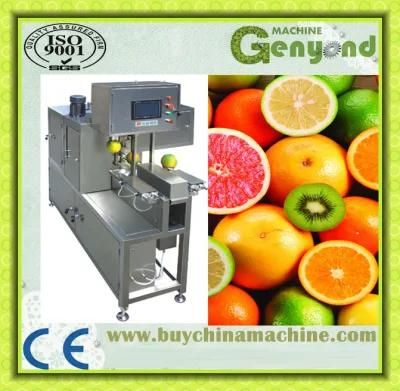 Automatica Fruit and Vegetables Peeling Machine