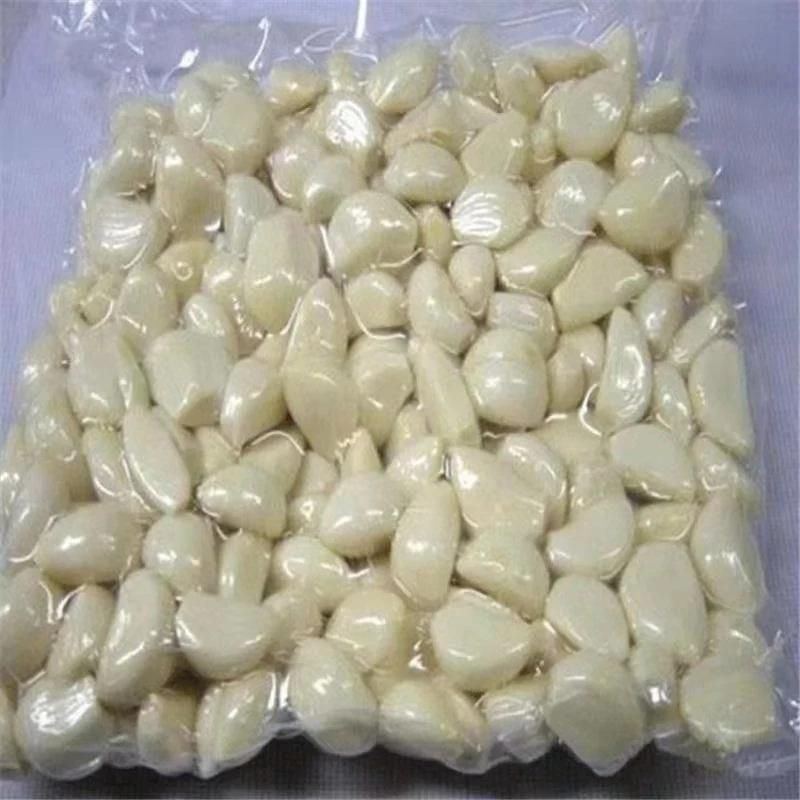 Factory Direct Sales Small Electric Garlic Peeler
