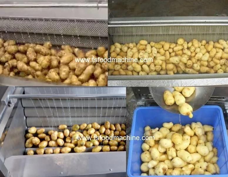 Vegetable Processing Machinery Papa Potato Cleansing and Peeling Machine with Brush