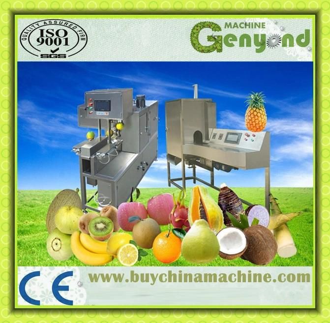 Automatica Fruit and Vegetables Peeling Machine