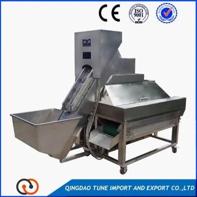 Onion Peeling and Root Cutting Machine