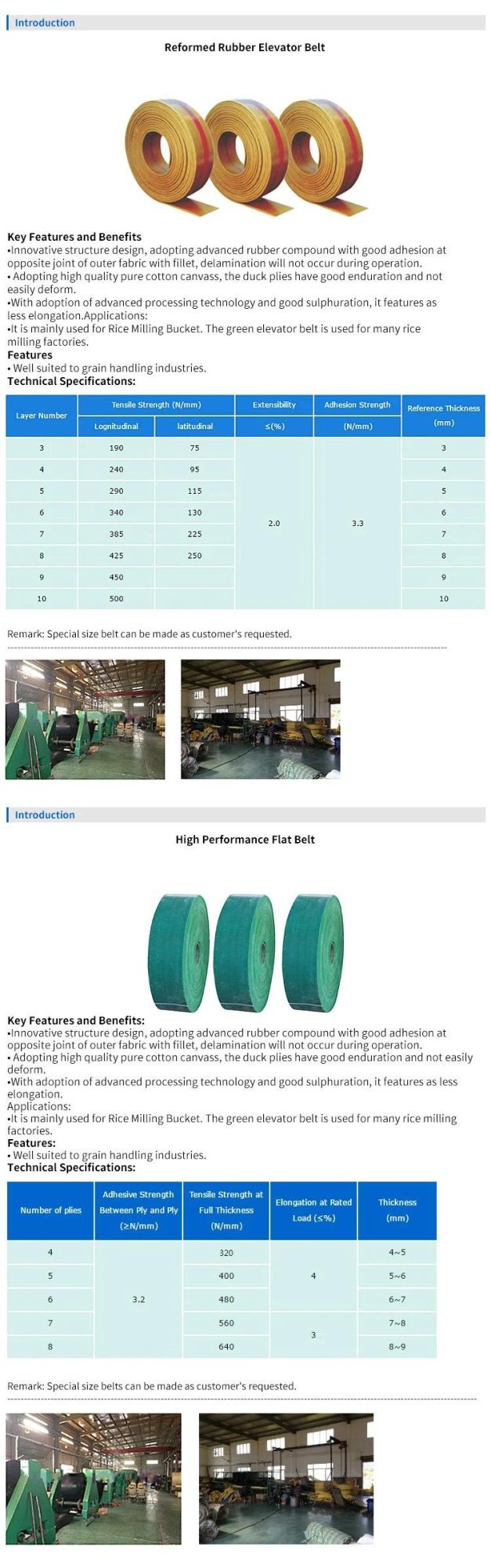 Rice Processing Machine Lifting Belt for Sale