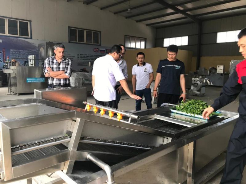 Automatic Tomato Fruit Washing and Processing Machine