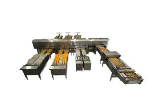 Automatic Egg Grading and Packing Machine