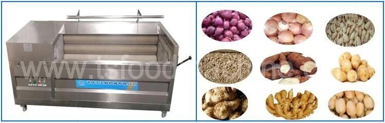 Brush Roller Potato Peeling Machine and Ginger Drum Washing Machine