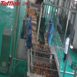 Orange and Tangerine Juice Processing Line