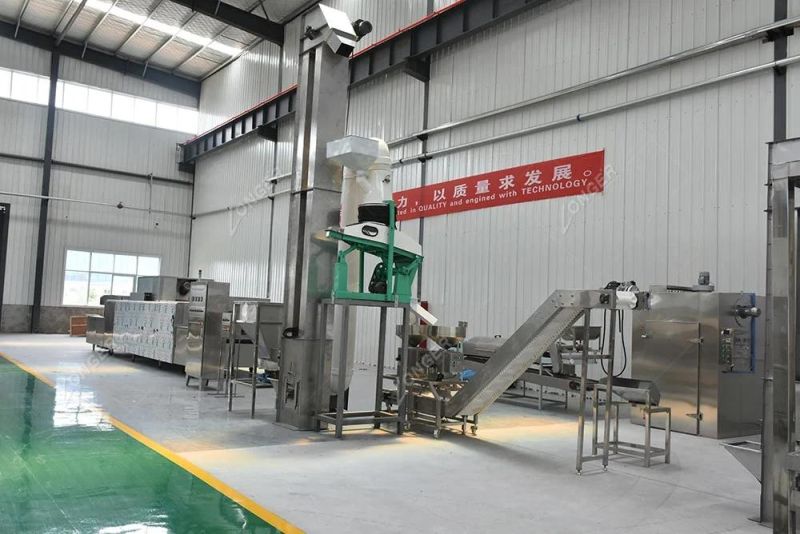 100-300kg/H Cocoa Beans Processing Line Cocoa Butter and Cocoa Powder Production Line