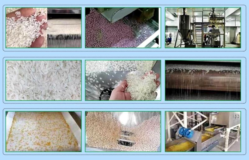 Automatic Artificial Rice Extruder Machine Fortified Rice Production Line