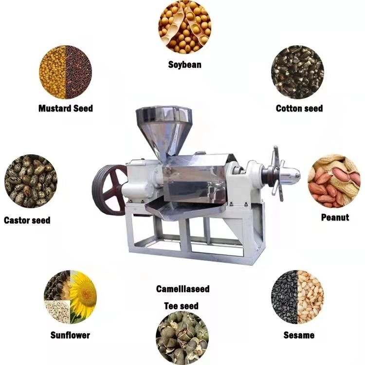 Factory Supply Cooking Screw Oil Expelling Machine/Small Oil Press for All Beans on Sale