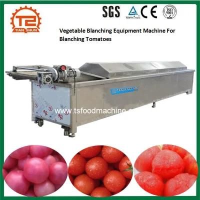 Vegetable Blanching Equipment Machine for Blanching Tomatoes