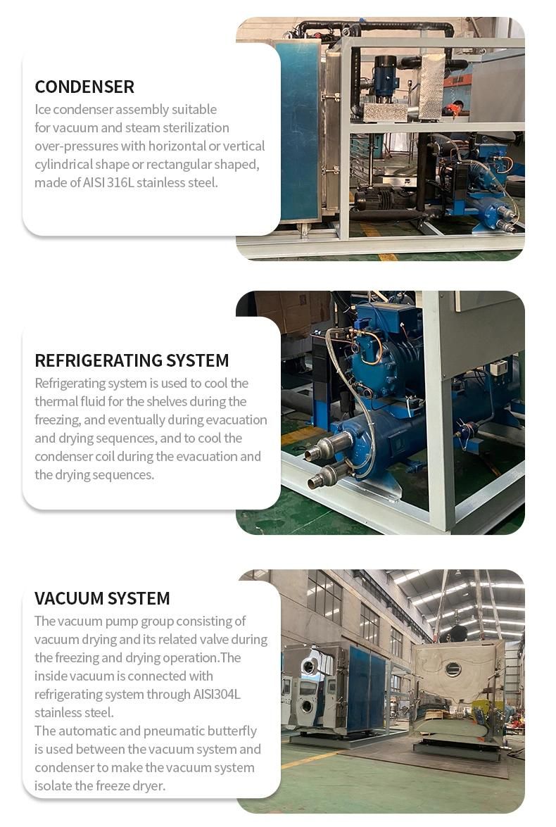 Injection Use Vacuum Lyophilizer Freeze Drying Machine