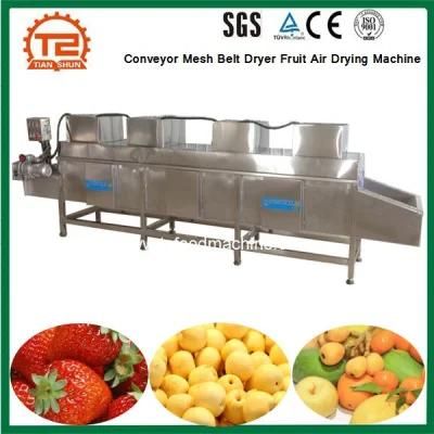 Fruits Processing Equipment / Conveyor Mesh Belt Dryer Fruit Air Drying Machine