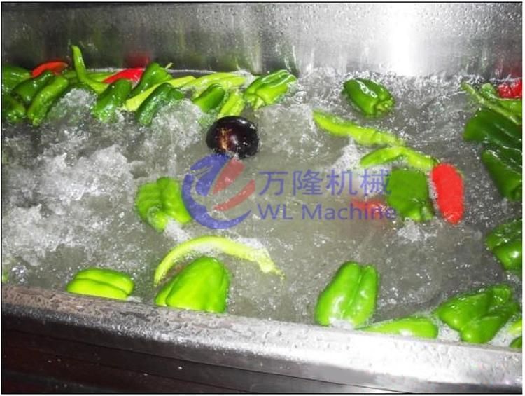 Industrial Ozone Vegetable Fruits Washing Machine Ultrasonic Leaf Vegetable Washer