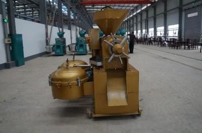 Big Palm Kernel Oil Press