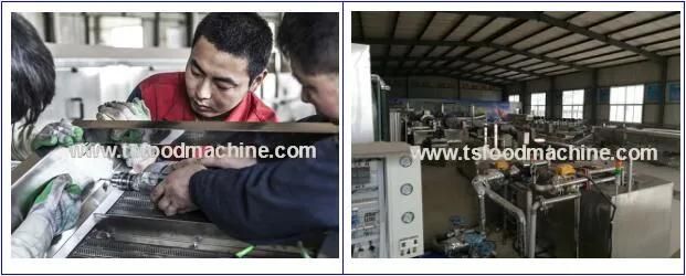 Semi Automatic Stainless Steel Potato Production Line Potato Processing Machine