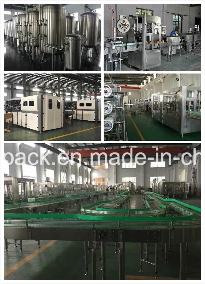 Fruit Pulper/Fruit Juice Machine/Fruit Pulp Machine