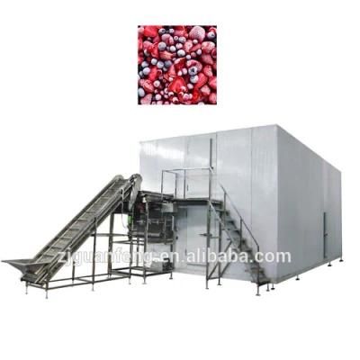 2t Fluidized IQF Freezer Fruit Dice Quick Freezing Machine