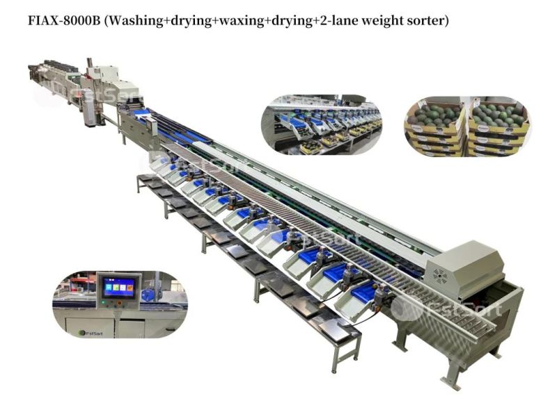 Citrus Apple Mango Nectarine Orange Avocado Fruit Washing Drying Waxing Sorting Processing Machine