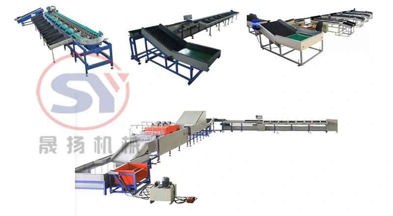 Small Capacity Tomato Sorting Machine Fruit Industrial Washing Machine