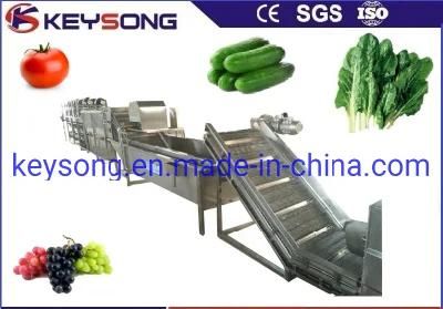 Spinach Vegetable Cleaning Washing Machinery