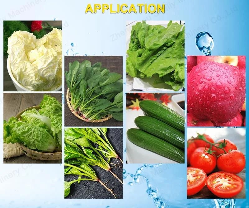 Automatic Fruit and Vegetable Washer Machine