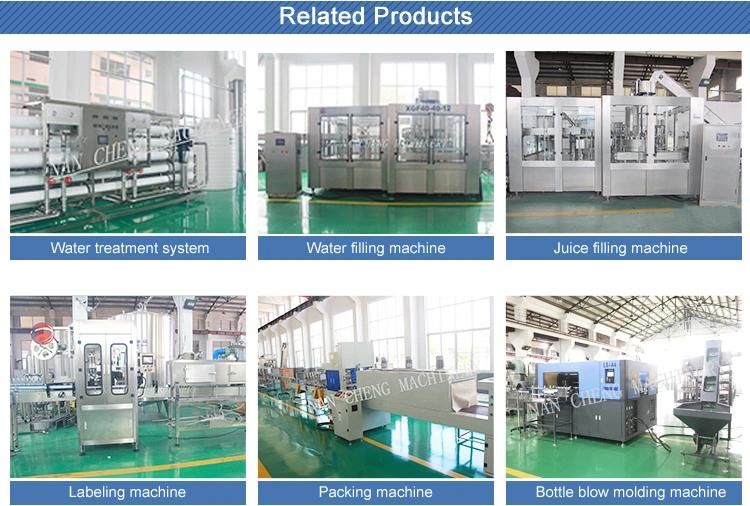 Ce Standard Bottle Filling Machine for Making Pure Water