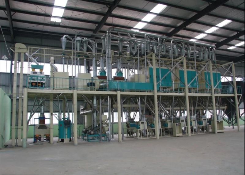 Maize Flour Milling 10-20 Ton/24 Hours